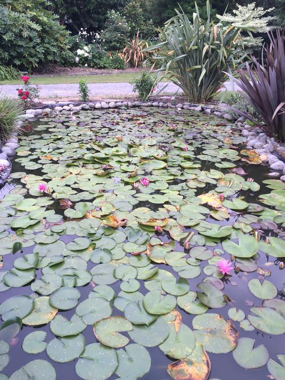 Bed and Breakfast Water Lily Garden Christchurch Exteriér fotografie