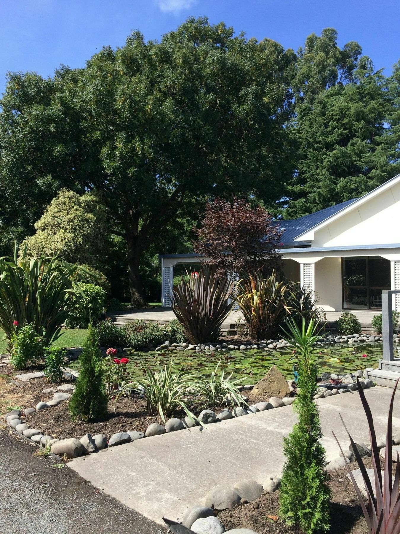 Bed and Breakfast Water Lily Garden Christchurch Exteriér fotografie